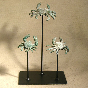 Peruvian CopperCrabs Custom Display