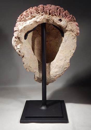 Romano Egyptian Stucco Plaster Head Custom Display Stand (back).