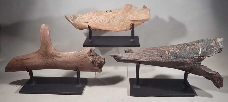Eurpoen Primitive Man Carved Fossils Custom Display Stands