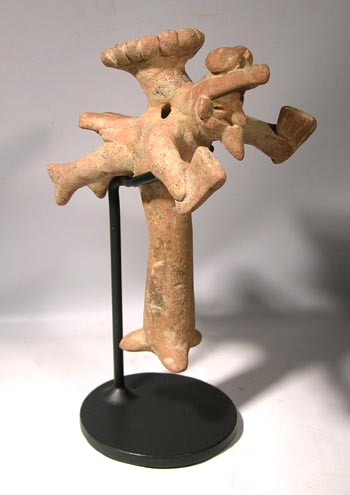 Colima Acrobat Custom Display Stand