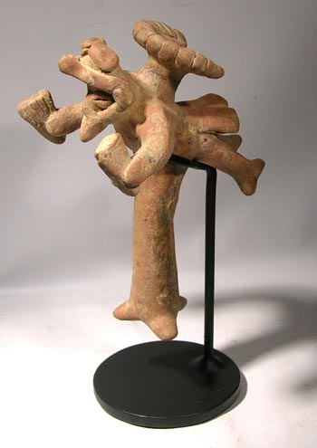 Colima Acrobat Custom Display Stand