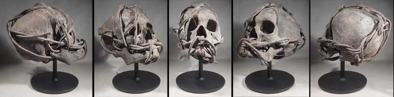 Iban Dayak Borneo Headhunter's Trophy Skull Custom Display Stand