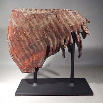 Fossilized Mammoth Tooth Custom Display Stand (back).