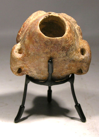 Maya Poison Bottle Display Stand