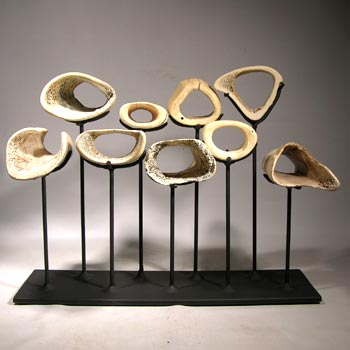 Whale Bones Custom Display Stand