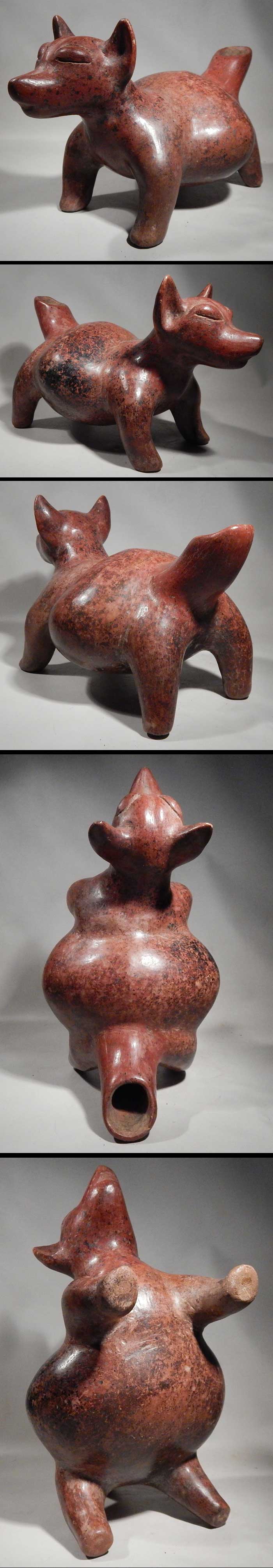 Pre-Columbian Colima Dog Canine Vessel West Mexico